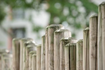 wood garden fence board