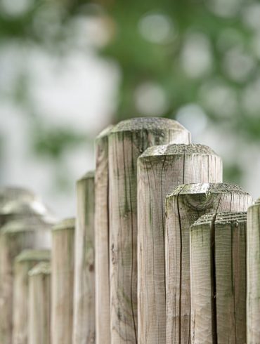 wood garden fence board