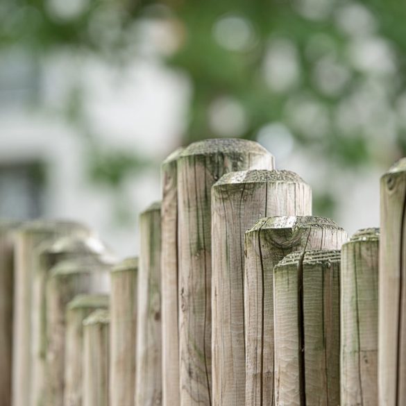 wood garden fence board